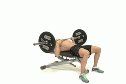 Bench Press Trying Hard GIF