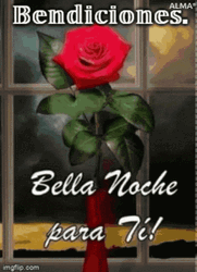 Bendecida Noche GIF