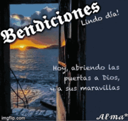 Bendecido Dia Awesome Flowers Compilation GIF