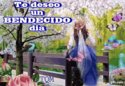 Bendecido Dia Soaring Butterflies GIF