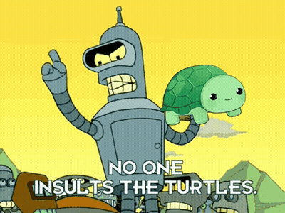 Bender From Futurama Holding Turtle No One Insults Turtles GIF