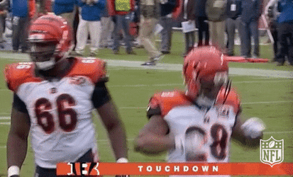 Bengals Touchdown Dance GIF
