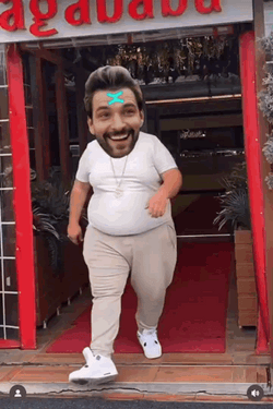 Beniamin Mincu Multiversx Skibidi Bop GIF