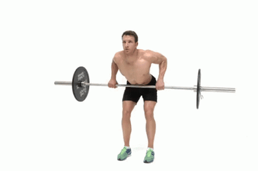 Bent Over Technique In Using Barbell Row GIF