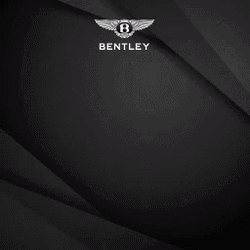 Bentley Blackline Model