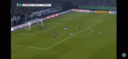 Berhalter Field View Game GIF