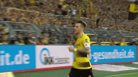 Berhalter Happy Marco Reus GIF