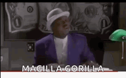 Bernie Mac Magilla Gorilla GIF