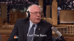 Bernie Sanders Feel The Bern GIF
