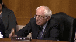 Bernie Sanders . Hold It GIF