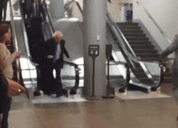 Bernie Sanders . GIF