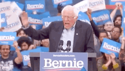 Bernie You Made Me Say It What An Idiot GIF