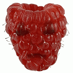 Berry In Awe Blushing GIF