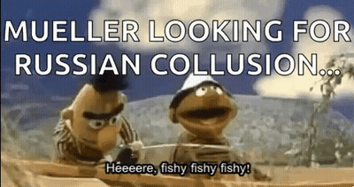 Bert And Ernie From Sesame Street Are Looking For A Russian Collusion . GIF