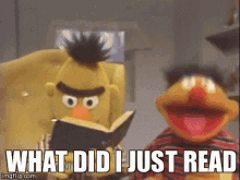 Bert And Ernie From Sesame Street Reading A Book Together GIF