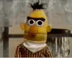 Bert From Sesame Street Is Wearing A Plaid Shirt And Scarf GIF