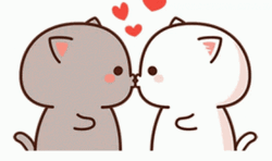 Besitos Cute Cat Couples  GIF