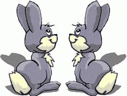 Besitos Funny Bunnies Couples GIF