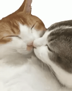 Besos Romanticos GIF