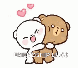Best Friend Friendship Hug
