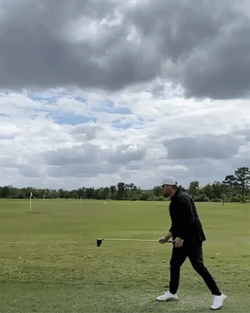 Best Golf Swing GIF