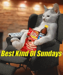 Best Kind Of Lazy Sunday GIF