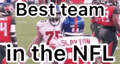 Best Team In The NFL Football Players GIF