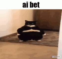 Bet GIF
