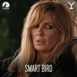 Beth Dutton Smart Bird Kelly Reilly GIF