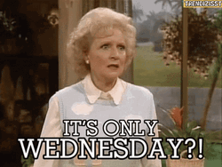 Betty White Collapsing On Hump Day Wednesday GIF