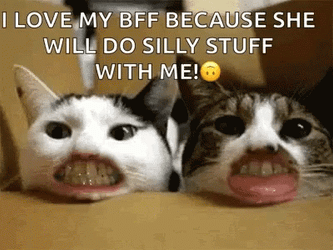 BFF Do Silly Stuff With Me GIF