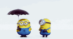 Bffr Minion Shares Umbrella To Minion Friend GIF