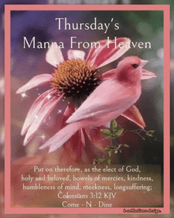 Bible Verse Colossian 3:12 Good Morning Blessings GIF
