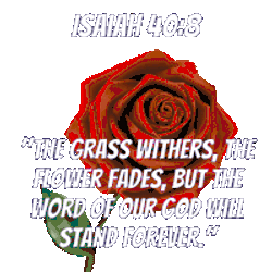 Bible Verse Scripture Sticker GIF