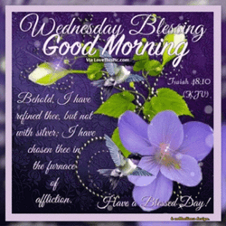 Bible Verse Wednesday Blessings Good Morning GIF