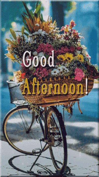 Bicycle With Basket Of Flowers Saying Good Afternoon GIF