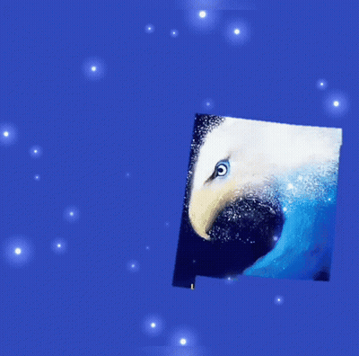 Biden 2020 Poster With Eagle GIF