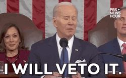 Biden Giving Speech In Front GIF
