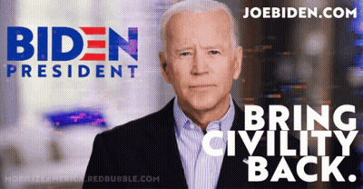 Biden President Ad Man In Suit GIF