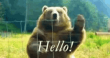 Big Bear Waving Bonjour GIF