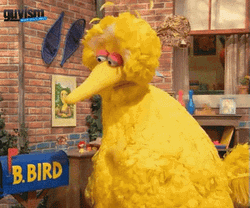 Big Bird GIF