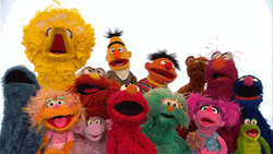 Big Bird And The Sesame Street Muppets GIF