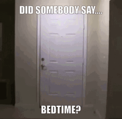 Big Bird Breaking Down Door GIF