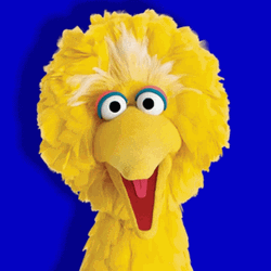Big Bird Close Up Crew Mobile Art GIF