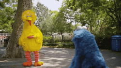 Big Bird Cookie Monster Playing Frisbee  GIF
