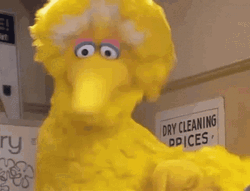 Big Bird Cute Happy Dance GIF