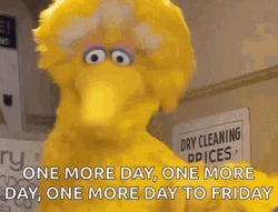 Big Bird Dancing To One More Day GIF