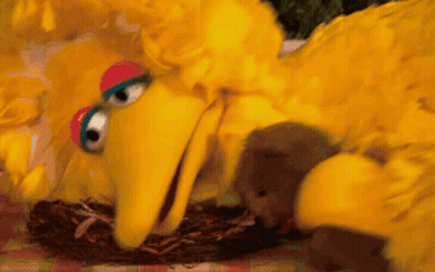 Big Bird From Sesame Street Is Laying On A Checkered Table Cloth GIF