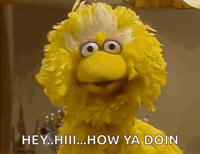 Big Bird From Sesame Street Is Saying " Hey Iiii How Ya Doin " GIF