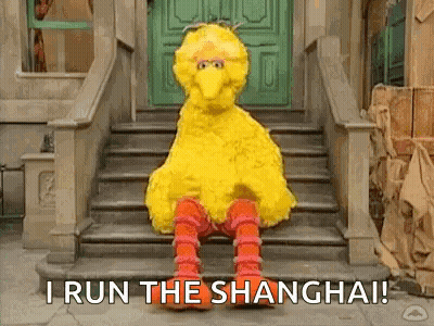 Big Bird From Sesame Street Is Sitting On A Set Of Stairs And Says `` I Run The Shanghai '' . GIF
